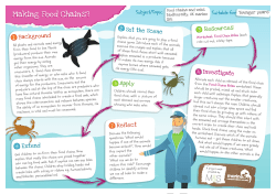 Making Food Chains? - Marine Conservation Society