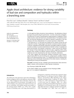 Apple shoot architecture: evidence for strong - herv&eacute; cochard