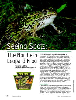 The Northern Leopard Frog - Fish and Boat Commission