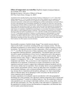 Effect of temperature on waterflea Daphnia magna (Crustacea