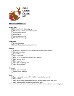Camp Caribou Packing List