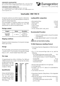 SmartLadder MW-1700-10