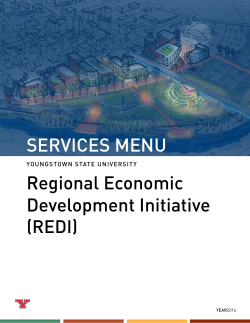 REDI Services Menu