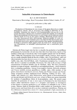 Inducible p-lactamase in Enterobacter