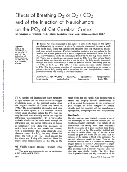 Effects of Breathing O2 or O2 + CO2 and of the Injection of