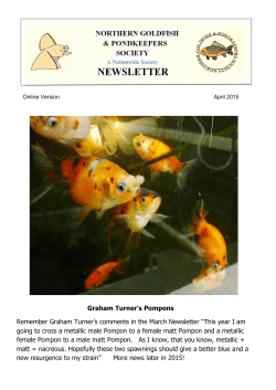 Graham Turner`s Pompons Remember Graham Turner`s comments