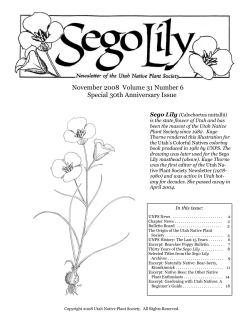 November-December 2008 newsletter
