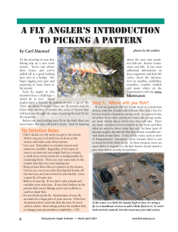 A Fly Angler`s Introduction to Picking a Pattern