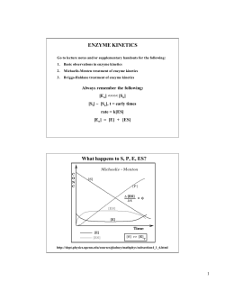 ENZYME KINETICS What happens to S, P, E, ES?