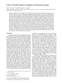 Causes of Insertion Sequences Abundance in Prokaryotic Genomes