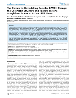 The Chromatin Remodelling Complex B-WICH Changes the