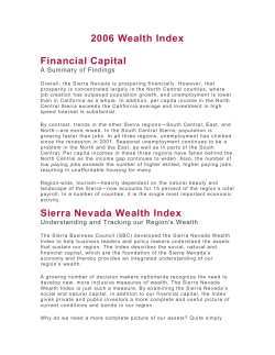 2006 Wealth Index Financial Capital Sierra Nevada Wealth Index