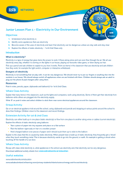 Junior Lesson Plan 1 &ndash; Electricity in Our Environment