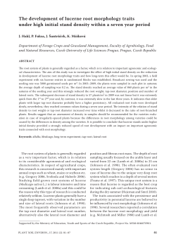 The development of lucerne root morphology traits under high initial