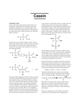 Casein