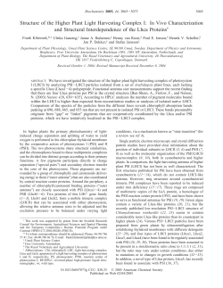 Structure of the Higher Plant Light Harvesting Complex I: In Vivo