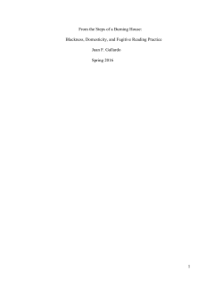 From The Steps Of A Burning House: Blackness