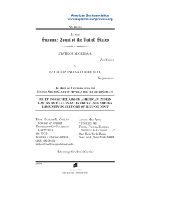 Brief for Scholars of American Indian Law on Tribal Sovereign