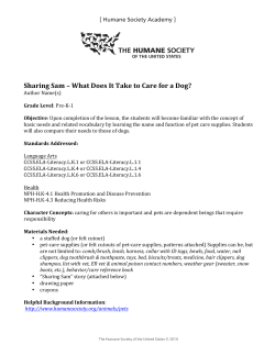 Sharing Sam &ndash; What Does It Take to Care for a Dog?
