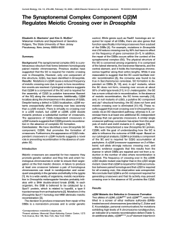 The Synaptonemal Complex Component C(2)M