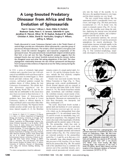 A Long-Snouted Predatory Dinosaur from Africa and the Evolution of