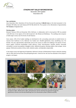 ethiopia rift valley reforestation