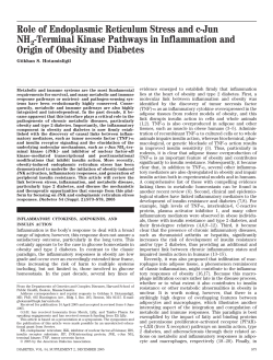Role of Endoplasmic Reticulum Stress and c-Jun NH2