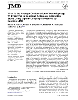 What is the Average Conformation of Bacteriophage T4 Lysozyme in