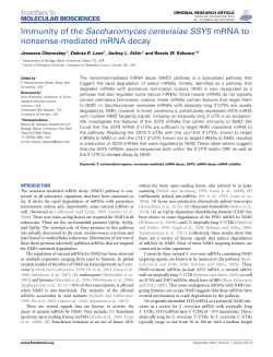 Immunity of the Saccharomyces cerevisiae SSY5 mRNA to