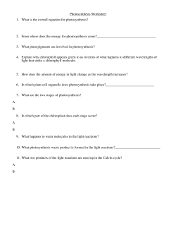 Photosynthesis Worksheet 1. What is the overall equation for