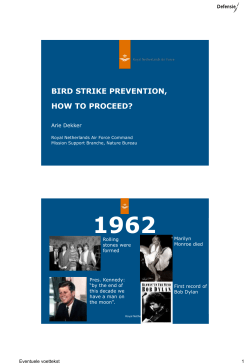 bird strike prevention, how to proceed?