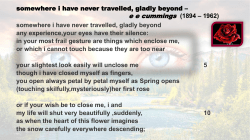somewhere i have never travelled, gladly beyond &ndash; e e cummings