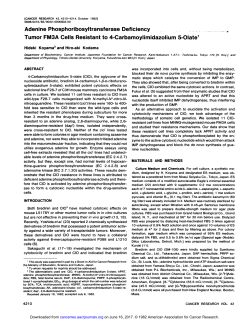 Adenine Phosphoribosyltransferase Deficiency