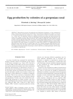 Egg production by colonies of a gorgonian coral