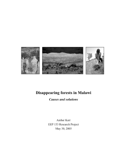 Disappearing forests in Malawi