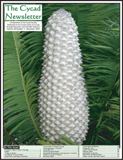 In This Issue: - The Cycad Society