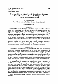 Decomposition of Lignin by Soil Bacteria and