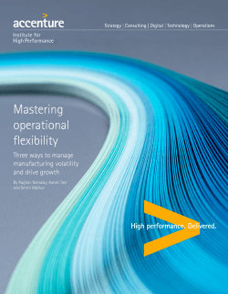 Mastering Operational Flexibility