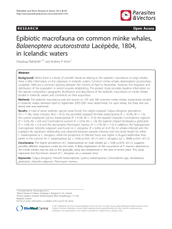 Epibiotic macrofauna on common minke whales