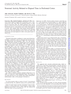 Neuronal Activity Related to Elapsed Time in Prefrontal Cortex