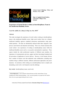 Experiences of Social Workers within an Interdisciplinary