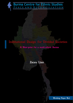 Institutional Design for Divided Societies