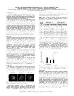 Chondrocyte Primary Cilia are Mechanosensitive in a Duration