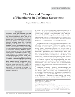 Fate and Transport of Phosphorus in Turfgrass Ecosystems