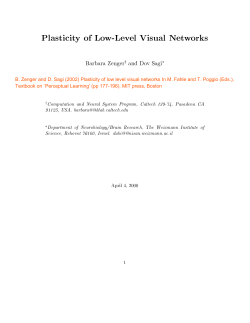 Plasticity of Low-Level Visual Networks