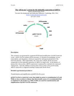 pLKO-Tet-On User Manual revised