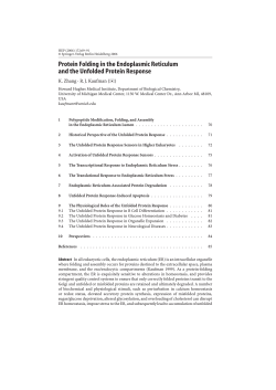 Protein Folding in the Endoplasmic Reticulum and the Unfolded