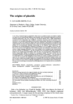 The origins of plastids