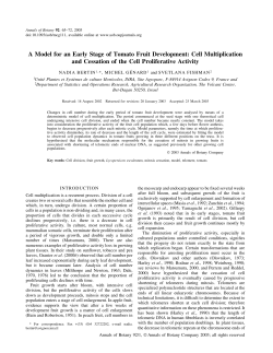A Model for an Early Stage of Tomato Fruit Development: Cell