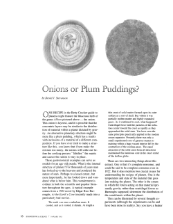 or PltIlll Pllddings?